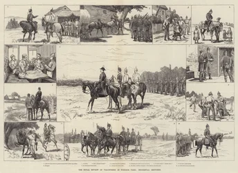 The Royal Review of Volunteers in Windsor Park, Incidental Sketches